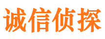 凤台市调查公司